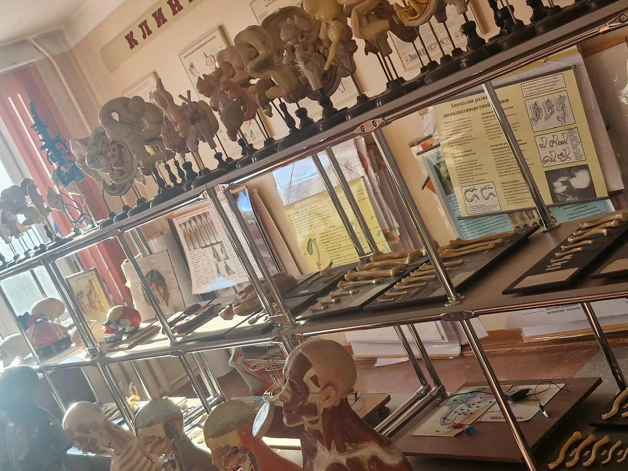 MBBS in Russia career opportunities